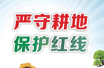 永久基本农田保护红线管理办法