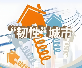 住房城乡建设部办公厅等部门关于印发《贯彻 落实〈中共中央办公厅、国务院办公厅 关于推进新型城市基础设施建设 打造韧性城市的意见〉行动方案 （2025—2027年）》的通知