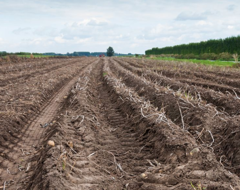 关于做好第二轮土地承包到期后再延长30年试点工作的意见